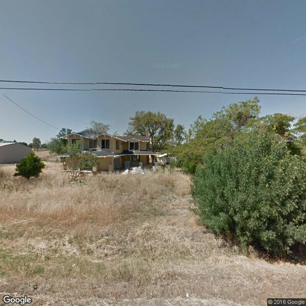 Solano Shade Tree