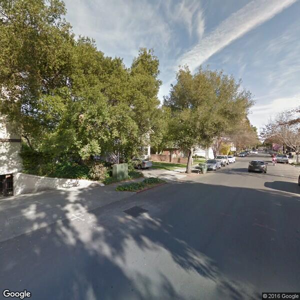 Arborist: Urban Tree Management