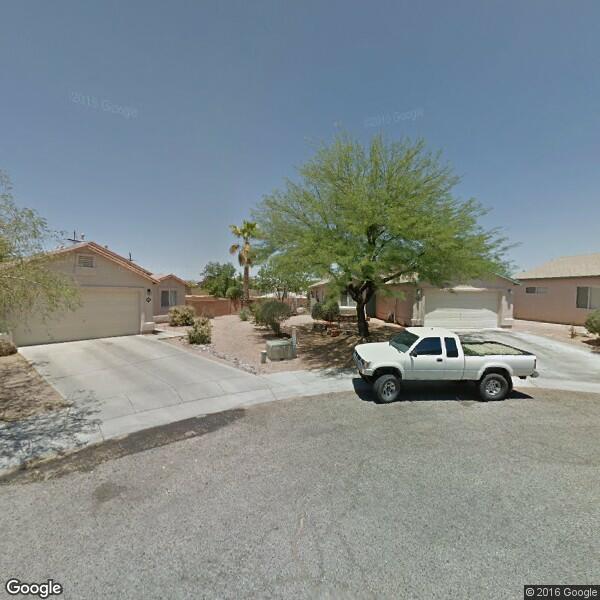 Arbor Tree & Cactus LLC