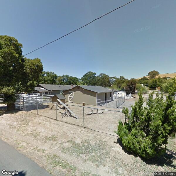 S Pacini Construction