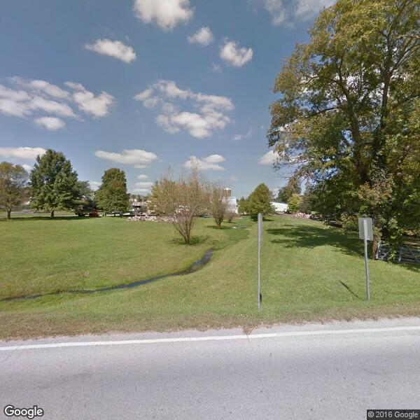 A1 Tree & Lawn