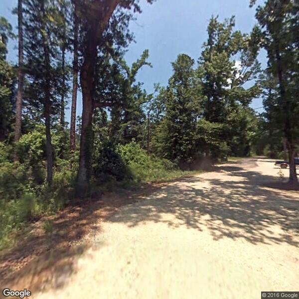 AUDUBON TREE EXPERTS LLC