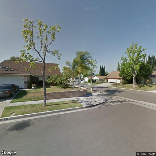 LG Major Landscape Cleanup and Repairs