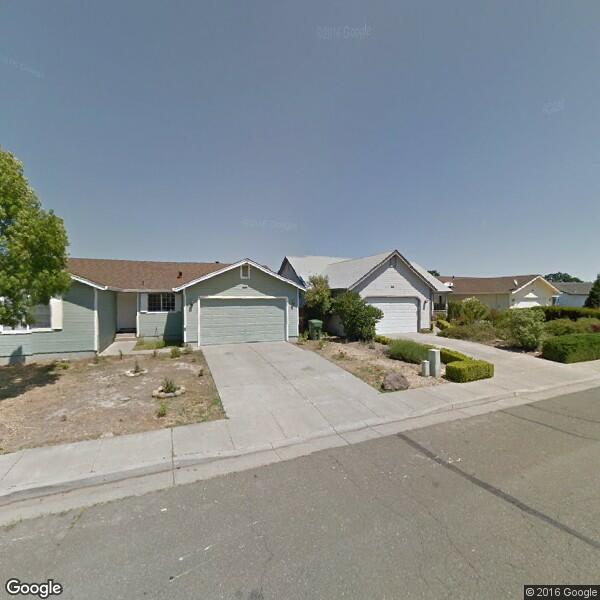 Lone Pine Tree Services