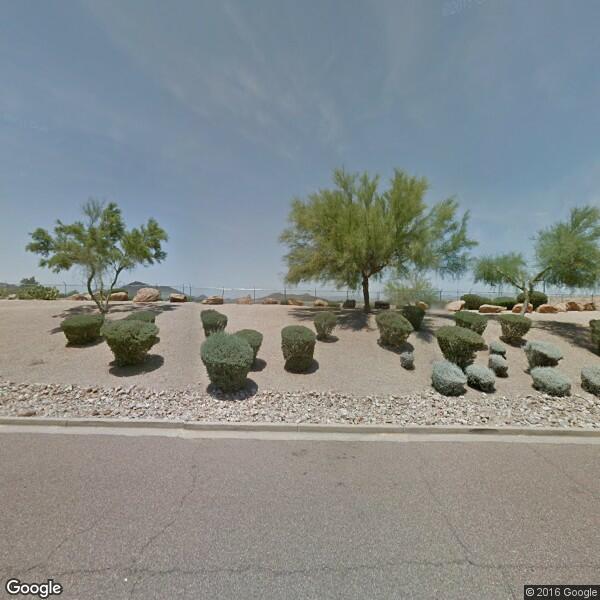 SAGUARO