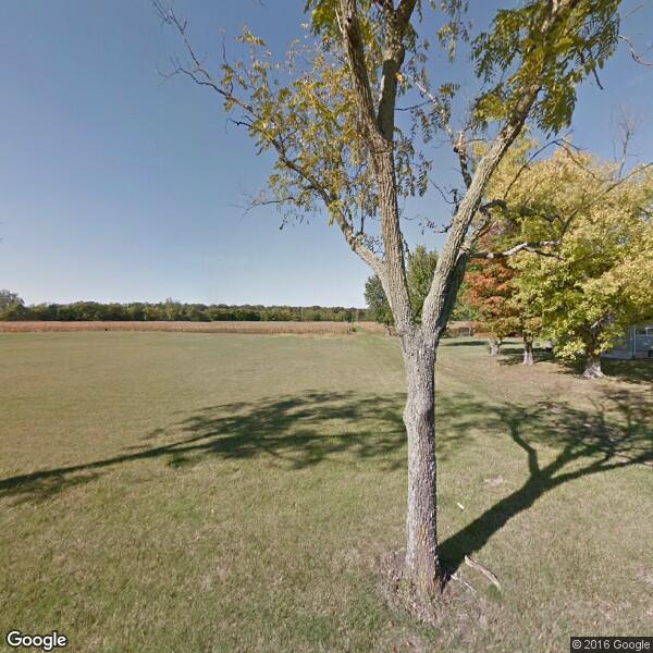 Lee S Tree Service