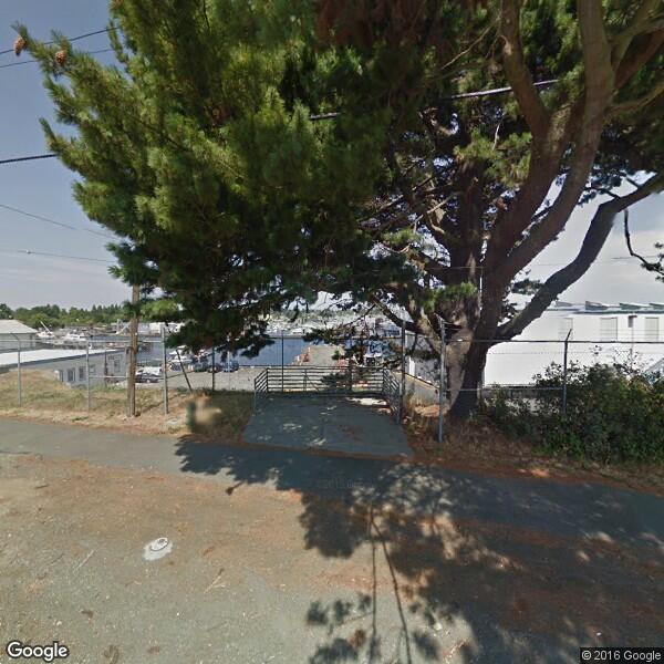Tinman, The