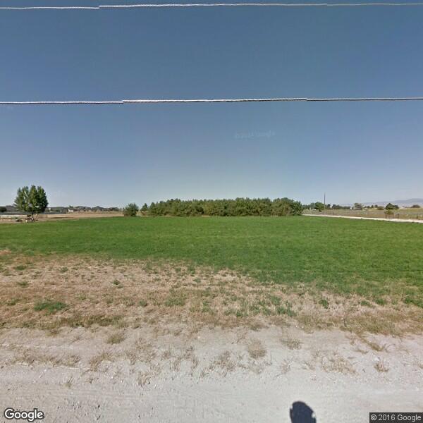 Scotton Mark