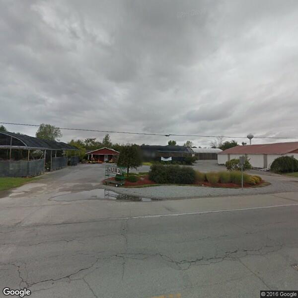 Norton Elec Co Inc
