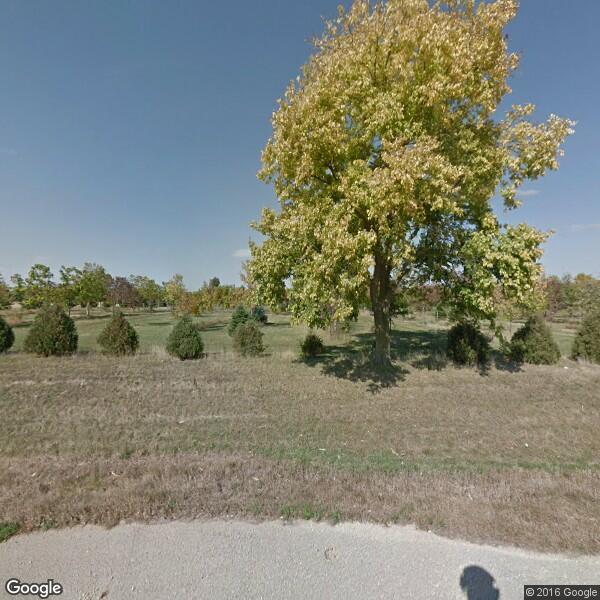 Dial-A-Tree