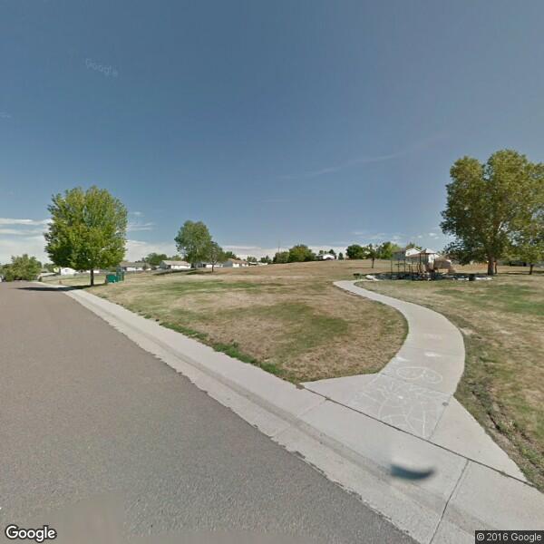 Colorado Security Services