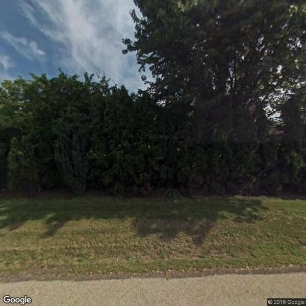 Morano Tree Techs