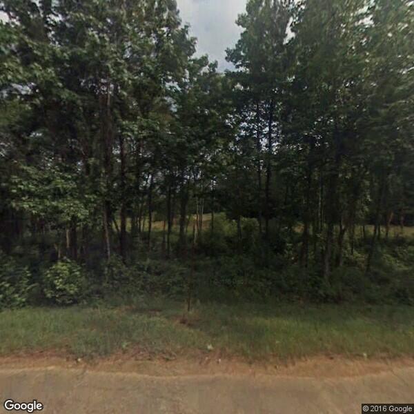 South Arkansas Tree Services Inc