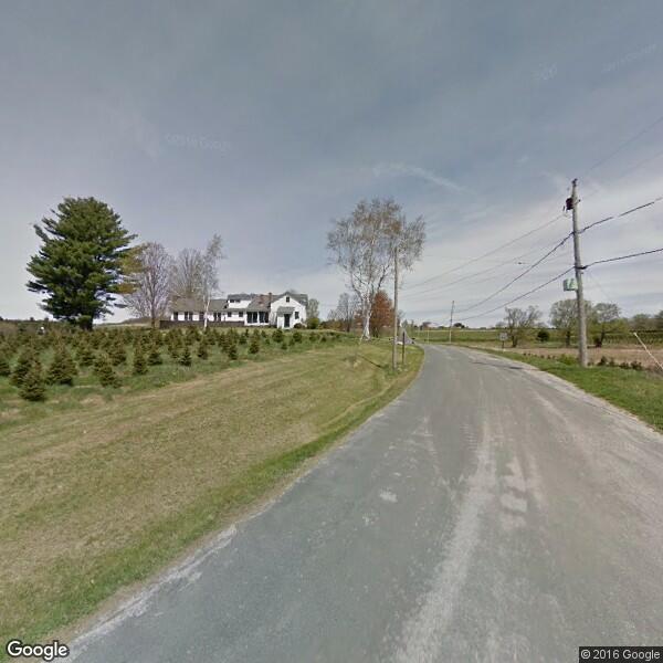 Mt Anthony Tree Farms