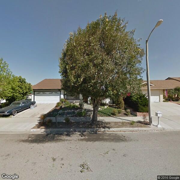 Fuentes Frank Tree Cutting