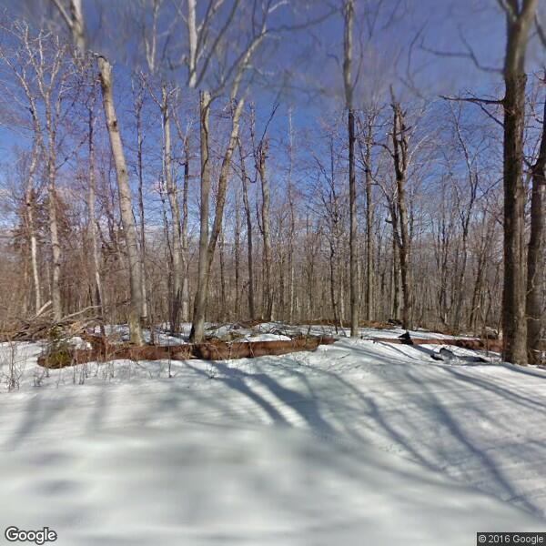 Treetop Condo