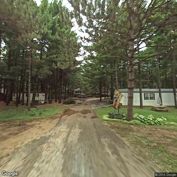 Forest Landscaping