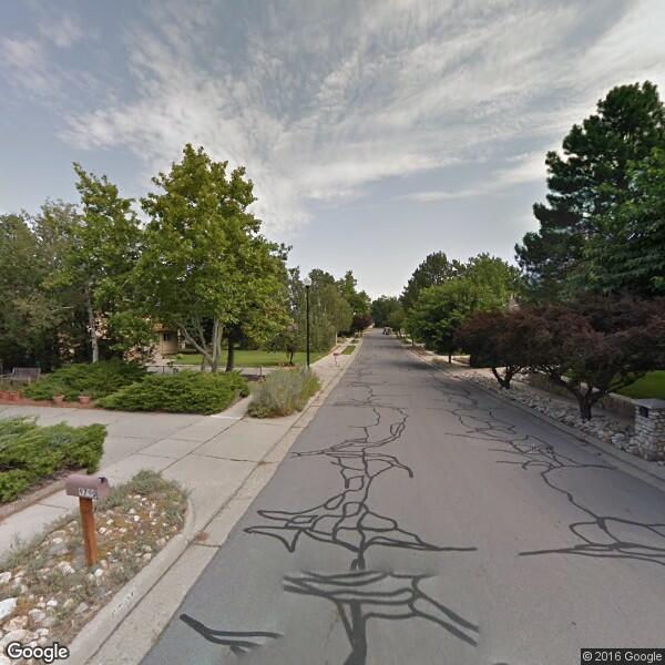 Bristlecone Construction
