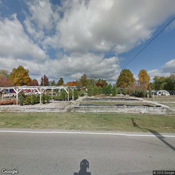 Gonce Nurseries