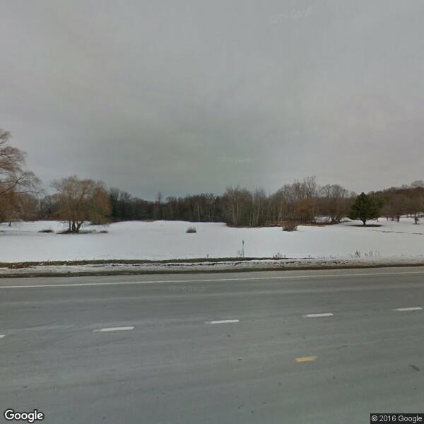 Locust Hill Nursery