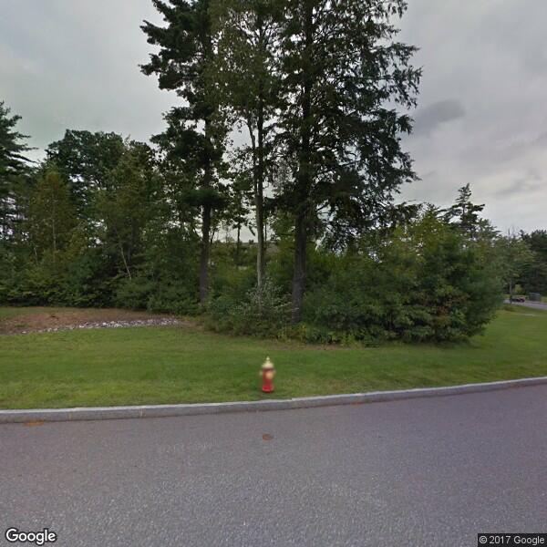 Sycamore Tree Care, LLC