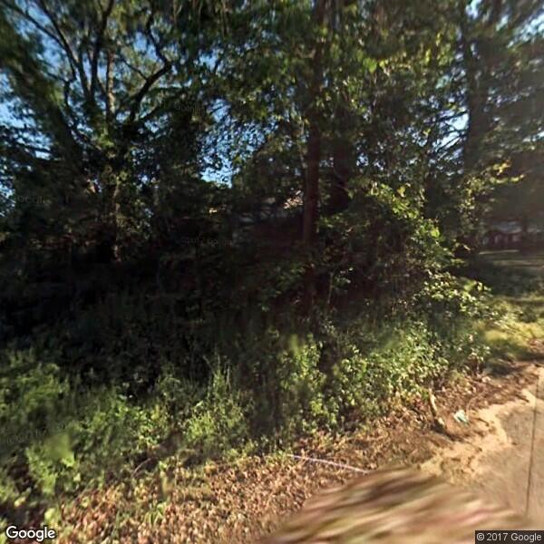 Couch Cut Tree Experts