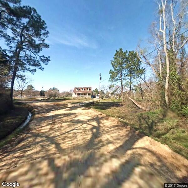 South Georgia Tree Service