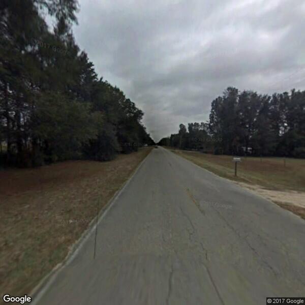Alachua County Tree Service