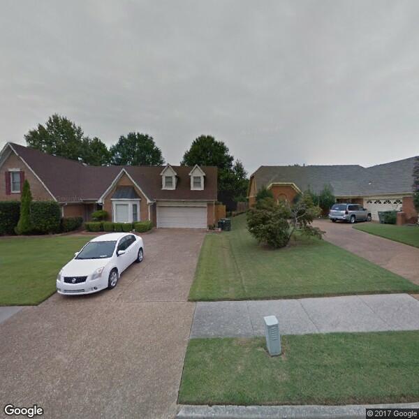 Green Tree and Landscaping Service