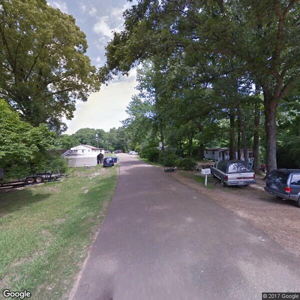 Hatchie Tree Service