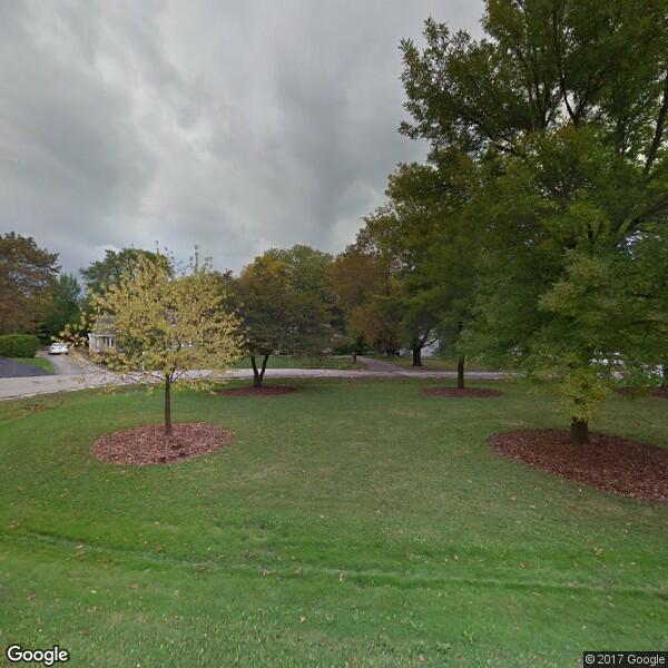 Arbor Tree Care