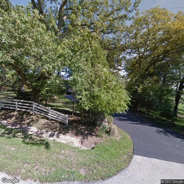 Mountain Tree Service, Inc.