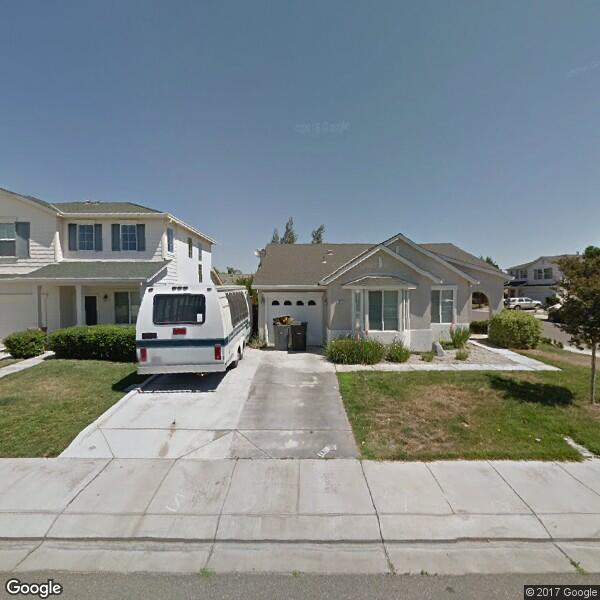 Arborist Tree Care