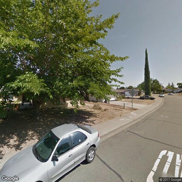Unique Arbor Tree Care