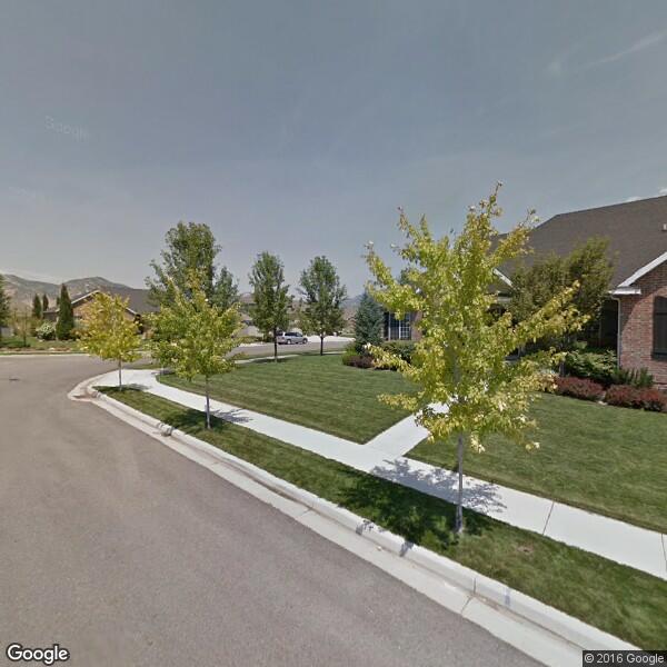Interior Landscaping