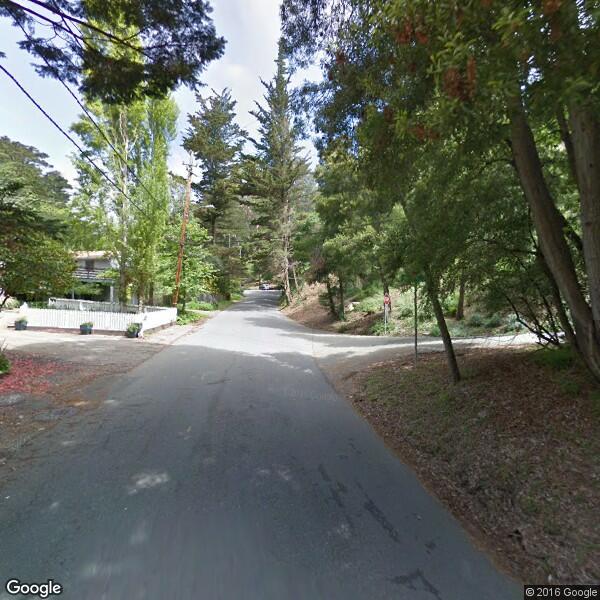 Martin Arnest - Certified Arborist