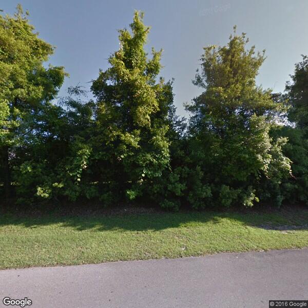 Bartlett Tree Experts