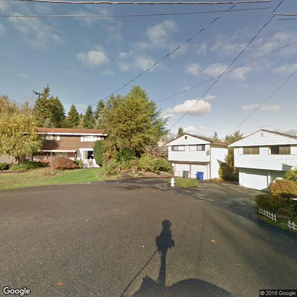 Seattle Painter Llc