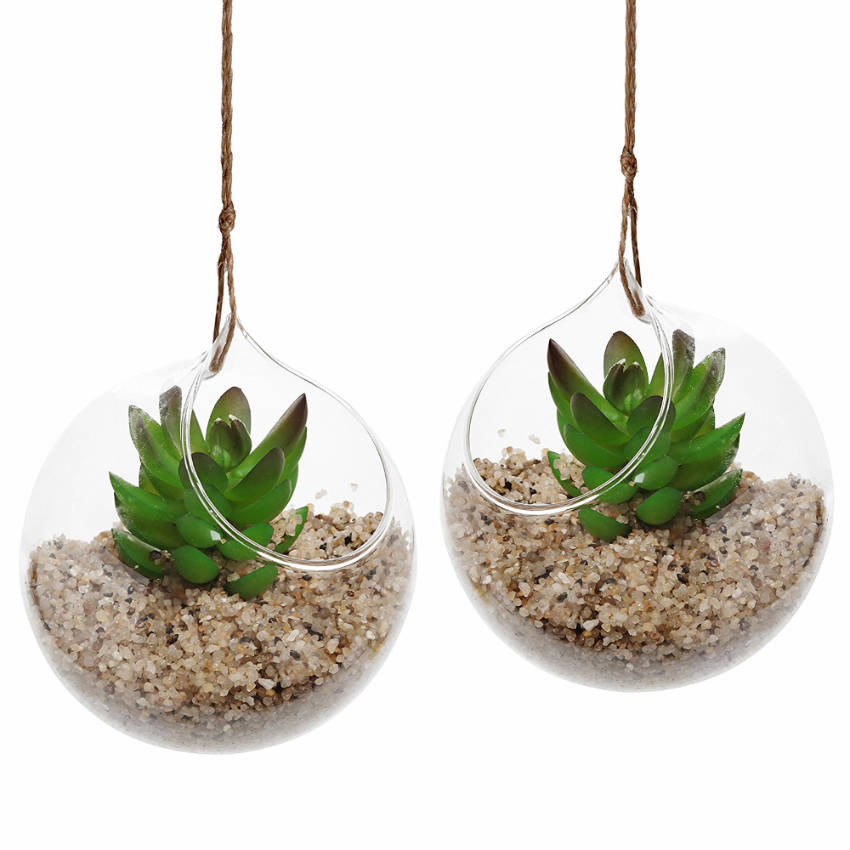 A beautiful hanging air terrarium!