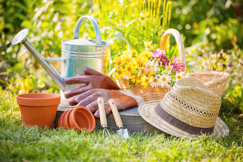 5 Simple Steps To Create Your First Garden The Right Way