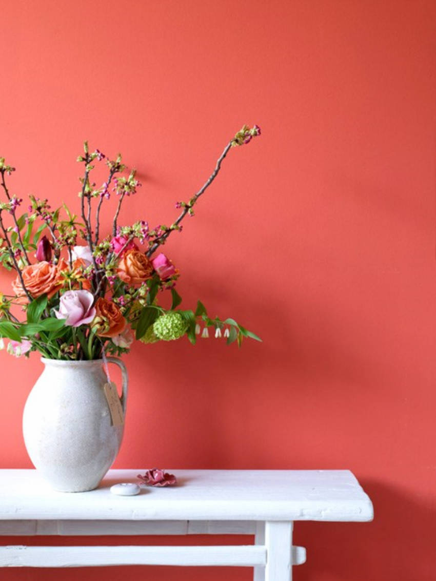 Coral pink is the perfect balance between bold and easy on the eyes.