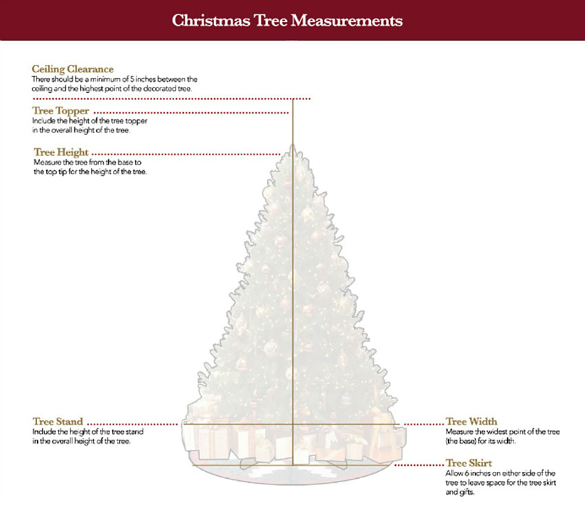 Measure - Tips for Picking the Perfect Christmas Tree