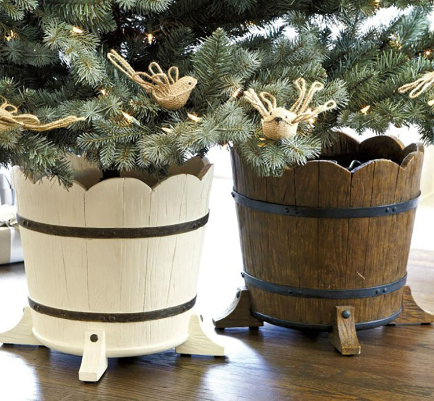 Tree - 6 Tips for Picking the Perfect Christmas Tree