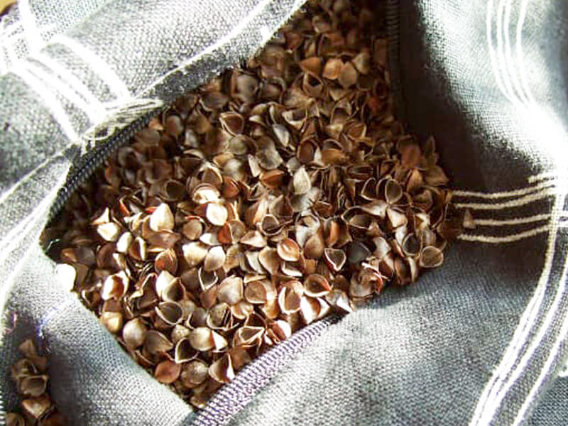Have You Heard About the Benefits of Buckwheat Pillows?