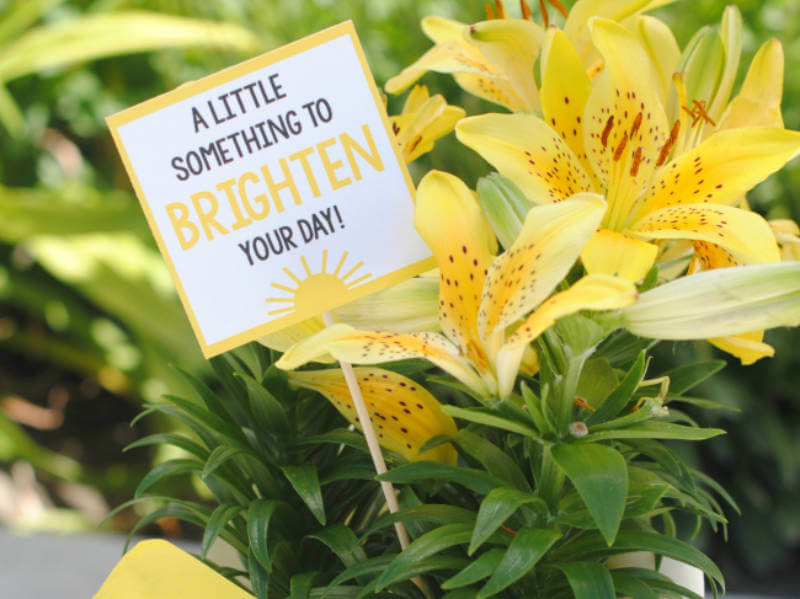 7 Niceties That Should Never Be Forgotten